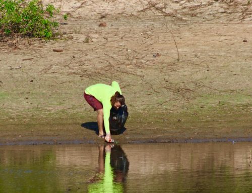 Ação de limpeza com ecopeneiras retira 479,10 kg de resíduos das praias de Alter do Chão